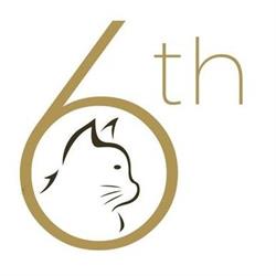 Cattery 6th Sense
