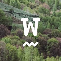 Wünder