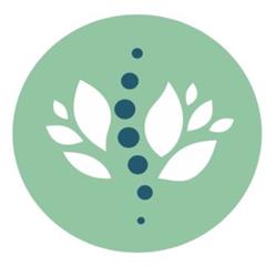 Chiropraxie Drongen