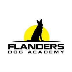 Flanders dog academy