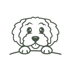 Marley's Doodle Shop