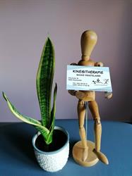 Kinesitherapie Sanne Deketelaere