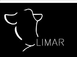 Limar Hoeve ijs