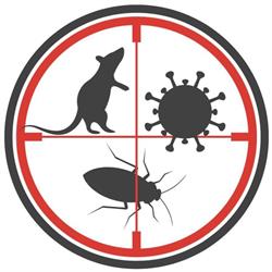 PYM Experts