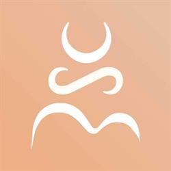 Body Shape Center