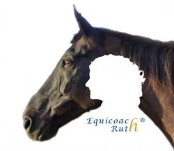Equicoach Ruth