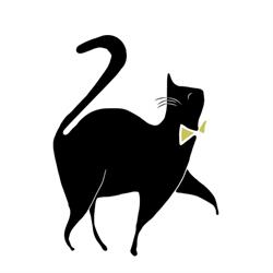 The Great Catsby - Kattengedragstherapie