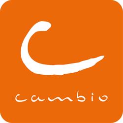 Cambio autodelen Vlaanderen