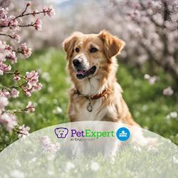 PetExpert Belgium
