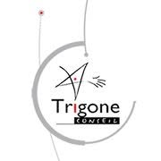Trigone-conseil Belgium