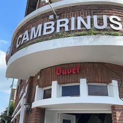 Cambrinus