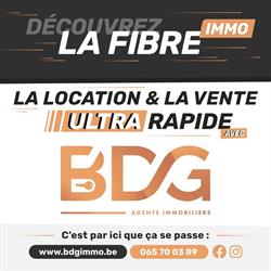 BDG IMMO