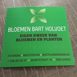 Bloemen Bart Holvoet