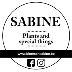 Bloemen Sabine/ Woonwinkel Sabine