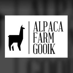 Alpaca Farm Gooik
