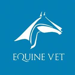 Equine Vet