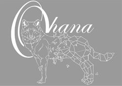 Ohana hondentrimsalon