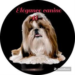 Elegance Canine