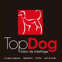 Top Dog