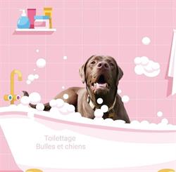 Toilettage Bulles et chiens