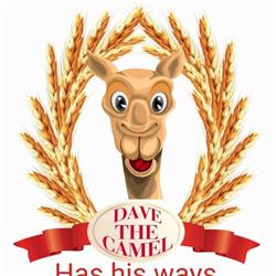 Dave the camel