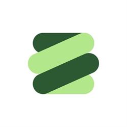AMO ZigZag