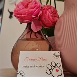 Furever paws