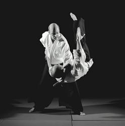 Chu Shin Aiki Dojo