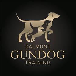 Calmont Gundog Training