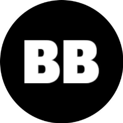 Bruno Bertolin - Consultant SEO