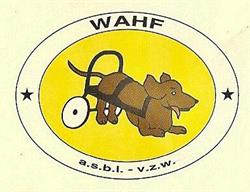 W.a.h.f. Asbl-vzw