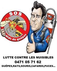 David Luyckfazeel - Lutte Anti-Nuisibles