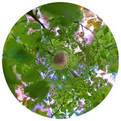 particule de lumière SRL