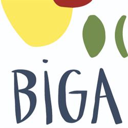 Pizzeria Biga