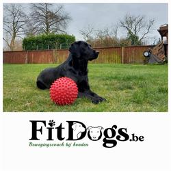 FitDogs.be