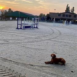 Ruitersportcentrum PC Stables
