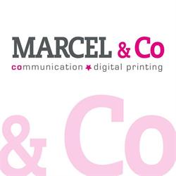 Marcel and Co