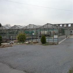 Entreprise de jardins Philippe Laureyns