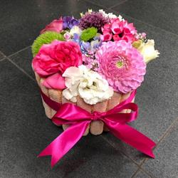 Fleuriste Butterfly Nivelles