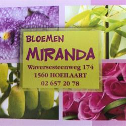 Bloemen Miranda