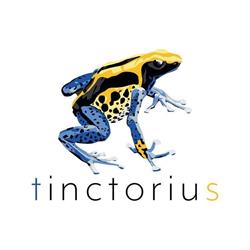 Tinctorius