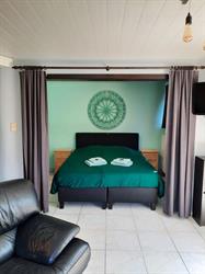 Studio de groene golf
