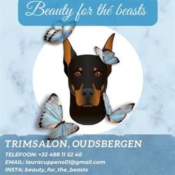 Beauty for the beasts