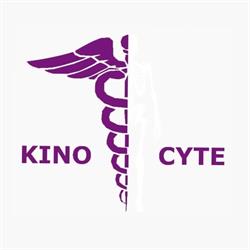 Lignier Sacha Kinésithérapeute KINOCYTE