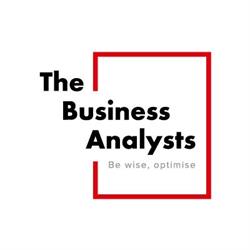 The Business Analysts