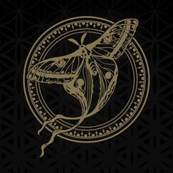 Ink About It Tattoo & Piercing studio