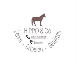 Hippo & Co