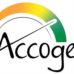 Accoges - Accounting & Tax Services