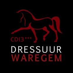Dressuur Waregem
