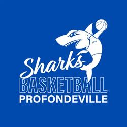 Profondeville Sharks